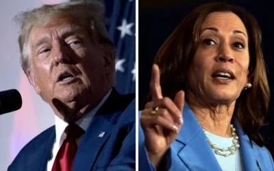 trump kamala check